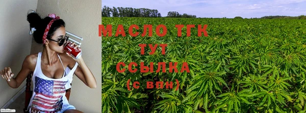 шишки Нягань