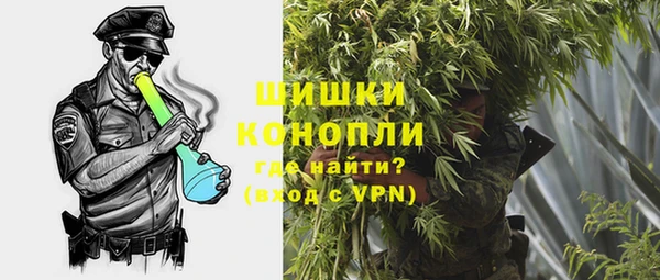 шишки Нягань