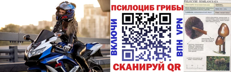 кракен онион  Агидель  Галлюциногенные грибы Psilocybe 